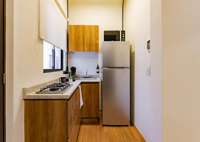 Apartment Mariano Escobedo By Vh *