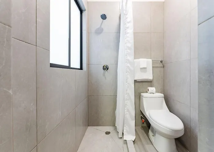 Apartment Mariano Escobedo By Vh *