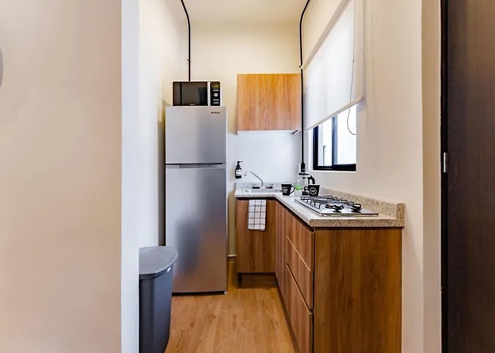 Apartment Mariano Escobedo By Vh *