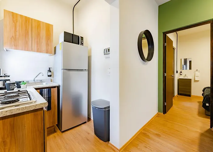 Apartment Mariano Escobedo By Vh